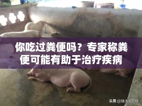 你吃過糞便嗎？專家稱糞便可能有助于治療疾病