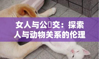女人與公豬交：探索人與動物關(guān)系的倫理與心理深層解析