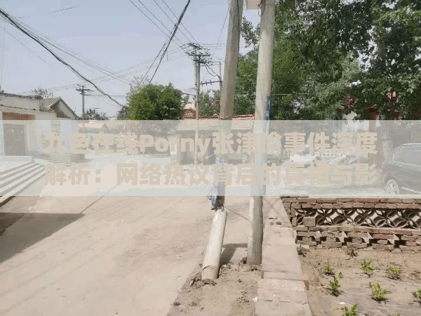 九色在線Porny張津瑜事件深度解析：網絡熱議背后的真相與影響