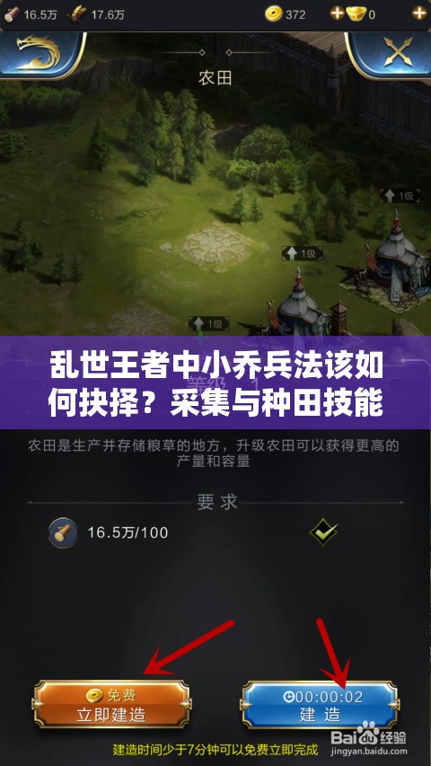 亂世王者中小喬兵法該如何抉擇？采集與種田技能深度攻略揭秘！