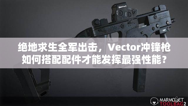 絕地求生全軍出擊，Vector沖鋒槍如何搭配配件才能發(fā)揮最強性能？