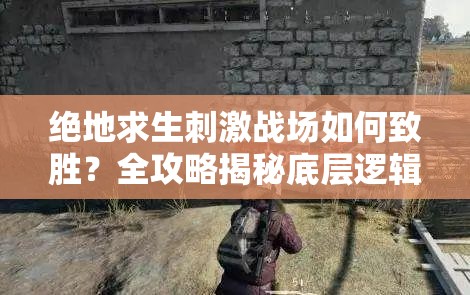 絕地求生刺激戰(zhàn)場如何致勝？全攻略揭秘底層邏輯與操作映射深度秘密