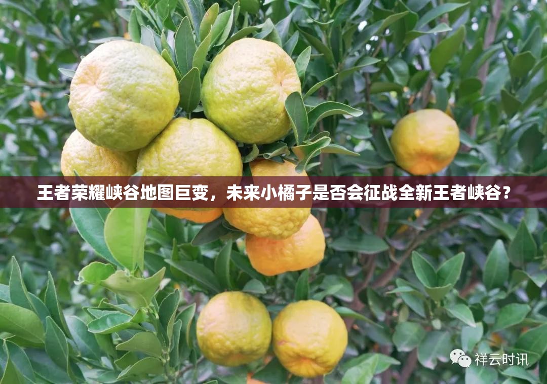 王者榮耀峽谷地圖巨變，未來小橘子是否會征戰(zhàn)全新王者峽谷？