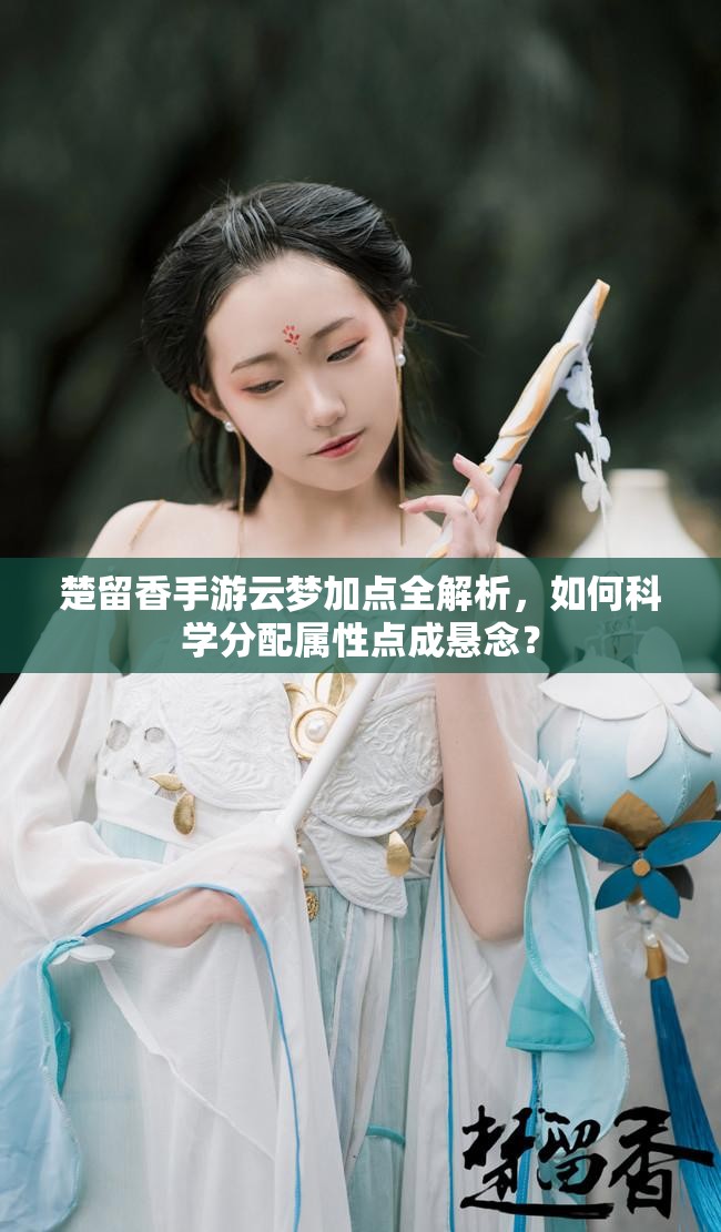 楚留香手游云夢(mèng)加點(diǎn)全解析，如何科學(xué)分配屬性點(diǎn)成懸念？