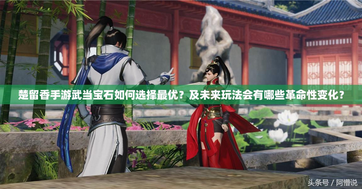 楚留香手游武當(dāng)寶石如何選擇最優(yōu)？及未來玩法會(huì)有哪些革命性變化？