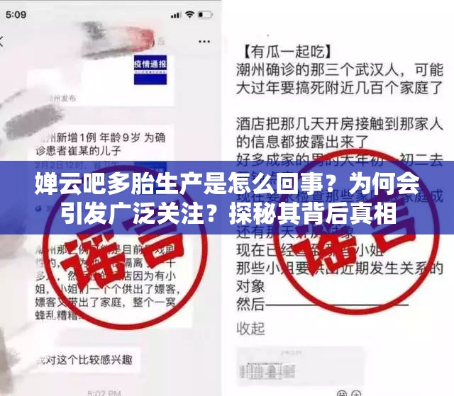 嬋云吧多胎生產(chǎn)是怎么回事？為何會(huì)引發(fā)廣泛關(guān)注？探秘其背后真相