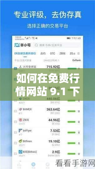 如何在免費(fèi)行情網(wǎng)站 9.1 下載？有哪些需要注意的問題？