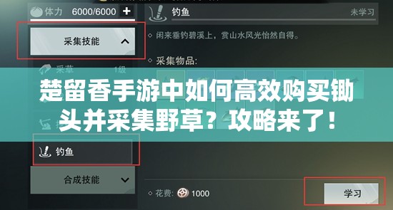楚留香手游中如何高效購買鋤頭并采集野草？攻略來了！