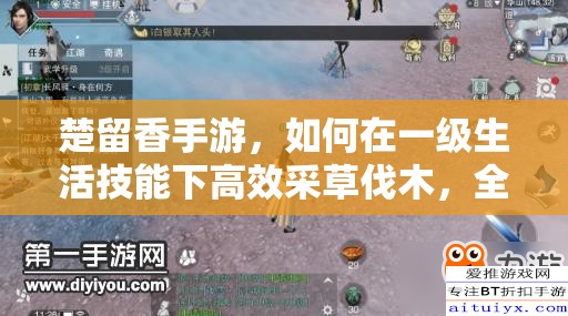 楚留香手游，如何在一級(jí)生活技能下高效采草伐木，全攻略揭秘？