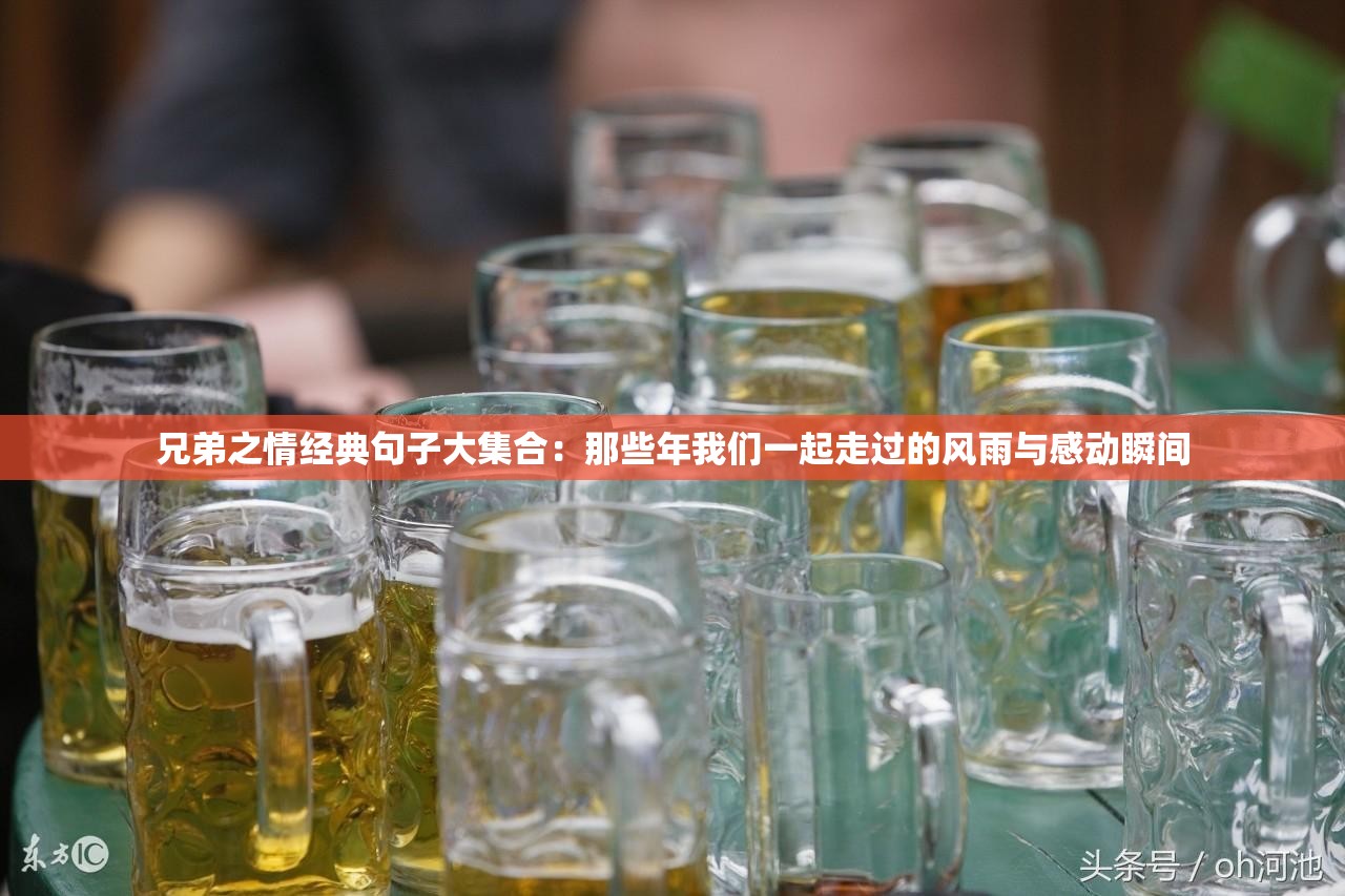 兄弟之情經(jīng)典句子大集合：那些年我們一起走過的風雨與感動瞬間