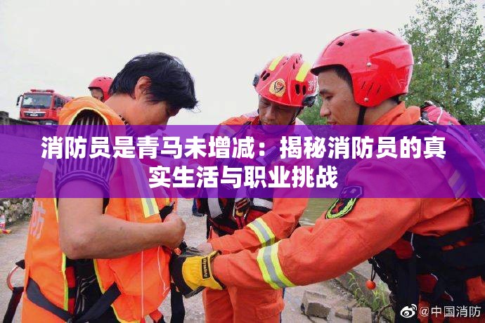 消防員是青馬未增減：揭秘消防員的真實生活與職業(yè)挑戰(zhàn)