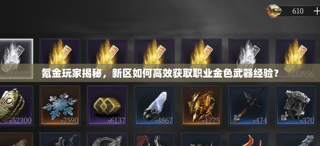 氪金玩家揭秘，新區(qū)如何高效獲取職業(yè)金色武器經(jīng)驗(yàn)？