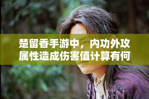 楚留香手游中，內(nèi)功外攻屬性造成傷害值計(jì)算有何神秘演變史？