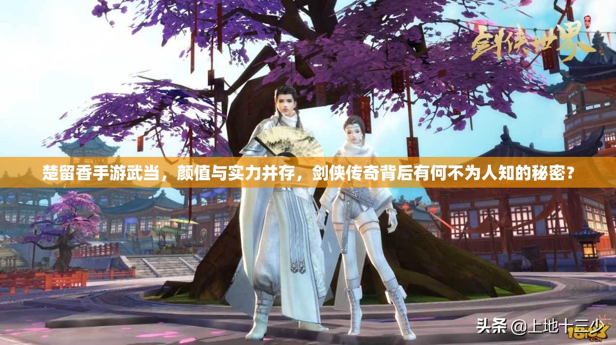 楚留香手游武當(dāng)，顏值與實(shí)力并存，劍俠傳奇背后有何不為人知的秘密？