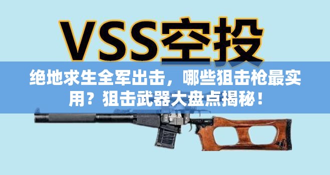 絕地求生全軍出擊，哪些狙擊槍最實(shí)用？狙擊武器大盤點(diǎn)揭秘！
