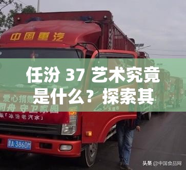 任汾 37 藝術(shù)究竟是什么？探索其獨(dú)特魅力與內(nèi)涵的相關(guān)解讀