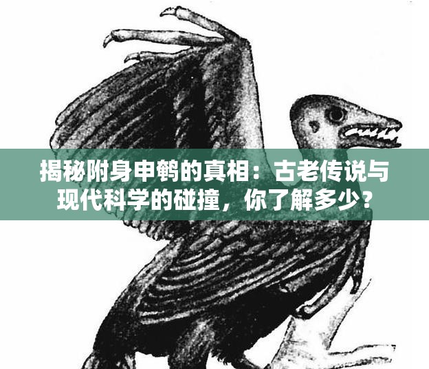 揭秘附身申鵪的真相：古老傳說與現(xiàn)代科學(xué)的碰撞，你了解多少？
