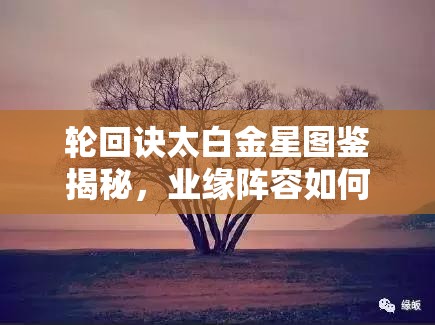 輪回訣太白金星圖鑒揭秘，業(yè)緣陣容如何搭配？深度解析等你來探！