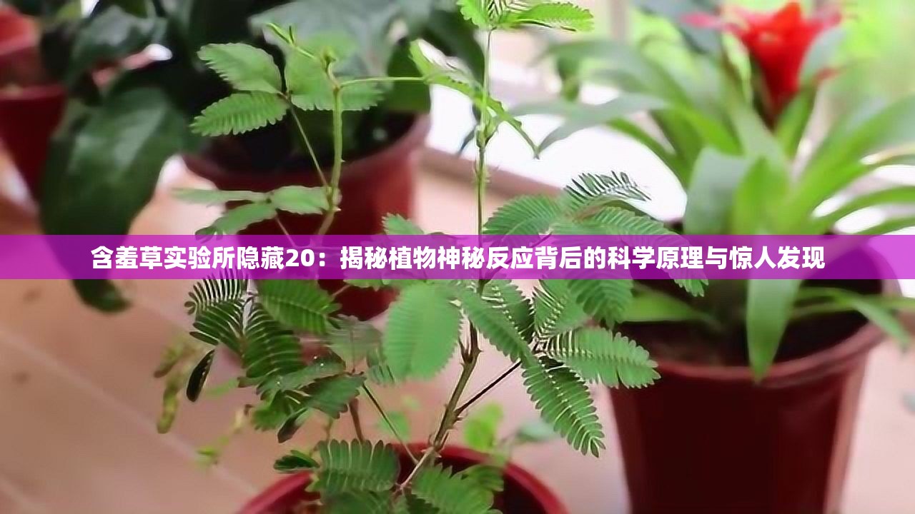 含羞草實驗所隱藏20：揭秘植物神秘反應(yīng)背后的科學(xué)原理與驚人發(fā)現(xiàn)