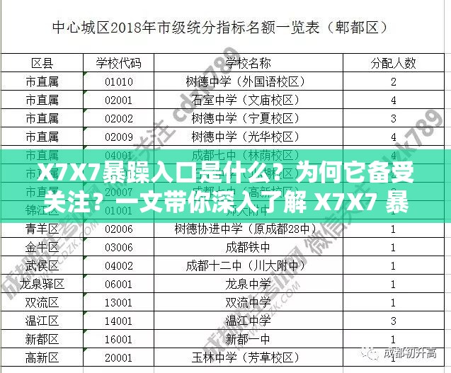 X7X7暴躁入口是什么？為何它備受關(guān)注？一文帶你深入了解 X7X7 暴躁入口