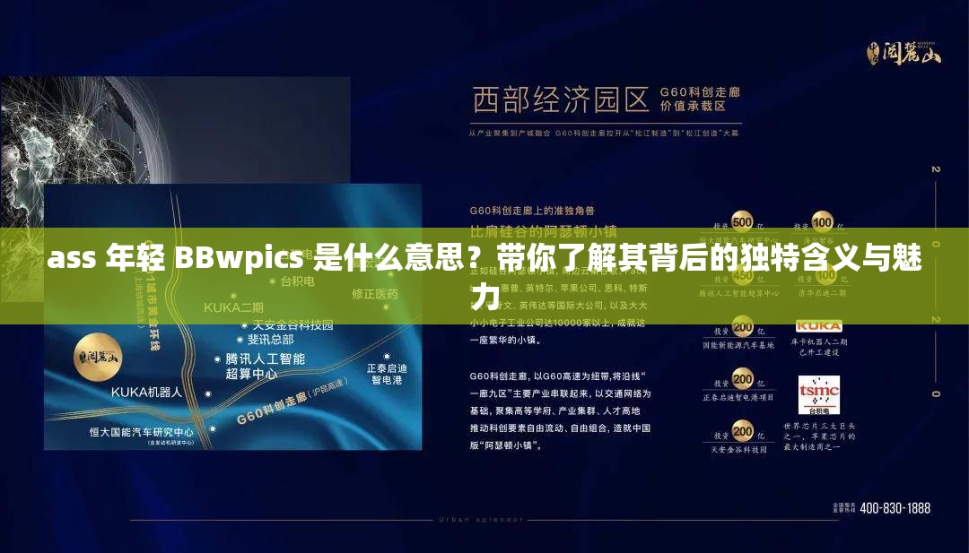 ass 年輕 BBwpics 是什么意思？帶你了解其背后的獨特含義與魅力