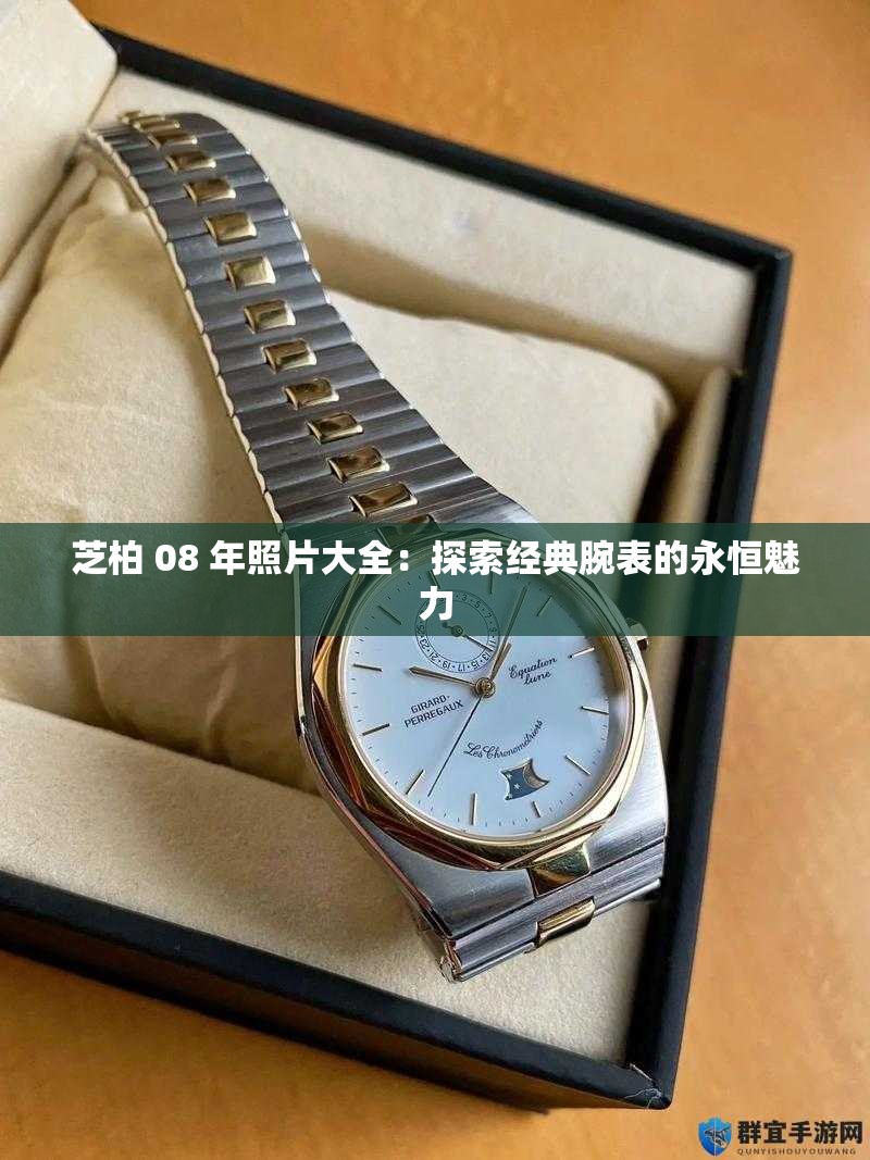 芝柏 08 年照片大全：探索經(jīng)典腕表的永恒魅力