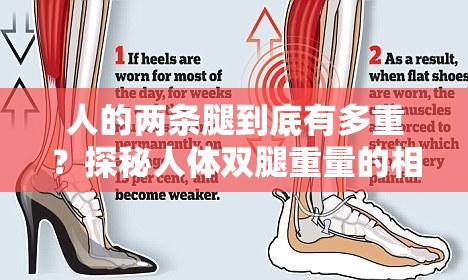 人的兩條腿到底有多重？探秘人體雙腿重量的相關(guān)奧秘與影響因素
