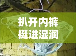 扒開內(nèi)褲挺進(jìn)濕潤(rùn)的花莖視頻：其背后的故事與情感表達(dá)