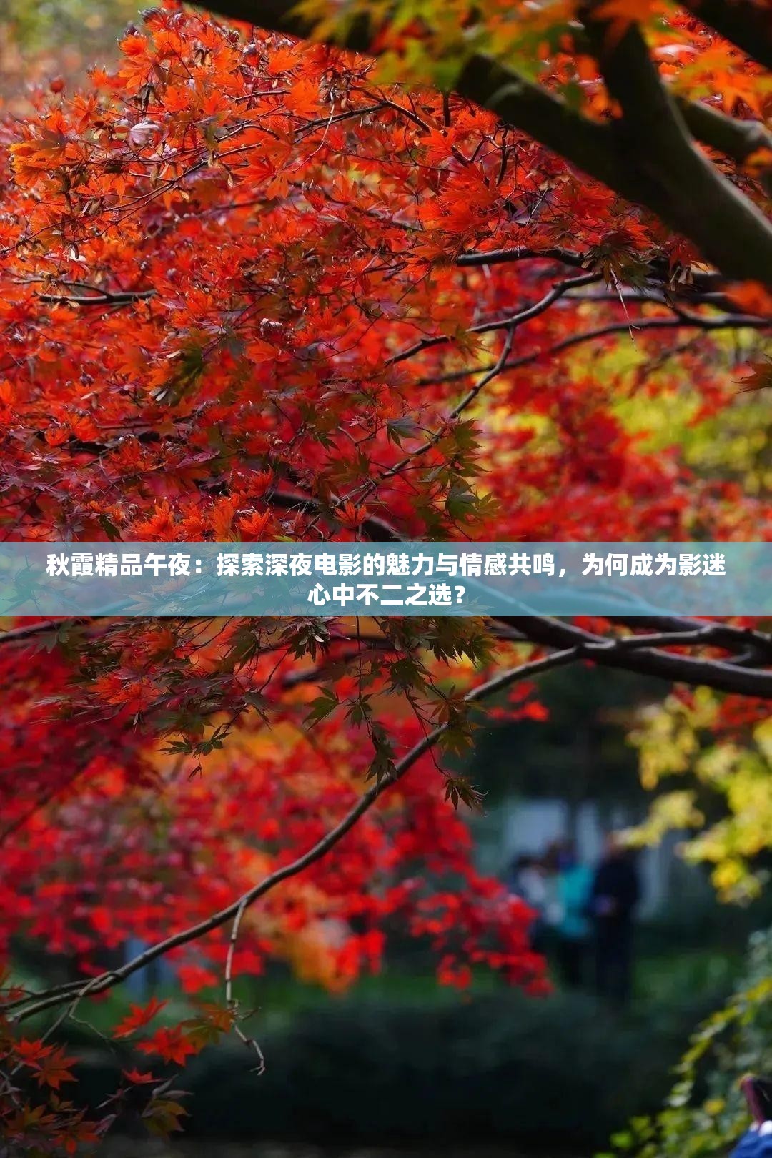 秋霞精品午夜：探索深夜電影的魅力與情感共鳴，為何成為影迷心中不二之選？