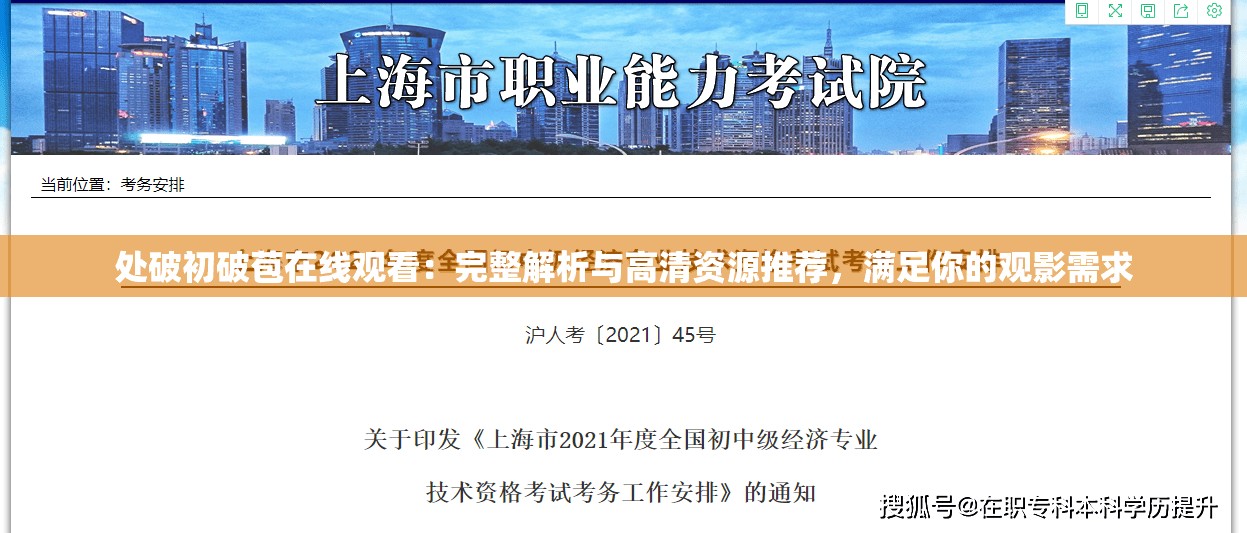 處破初破苞在線觀看：完整解析與高清資源推薦，滿足你的觀影需求