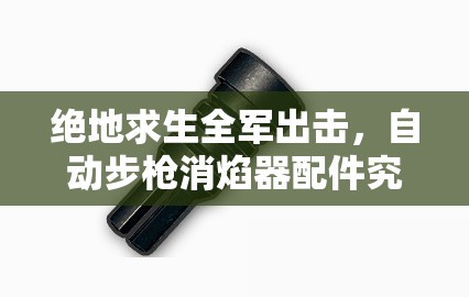 絕地求生全軍出擊，自動步槍消焰器配件究竟有何神秘之處？