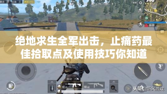 絕地求生全軍出擊，止痛藥最佳拾取點(diǎn)及使用技巧你知道嗎？