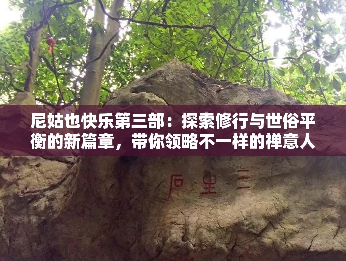 尼姑也快樂第三部：探索修行與世俗平衡的新篇章，帶你領(lǐng)略不一樣的禪意人生