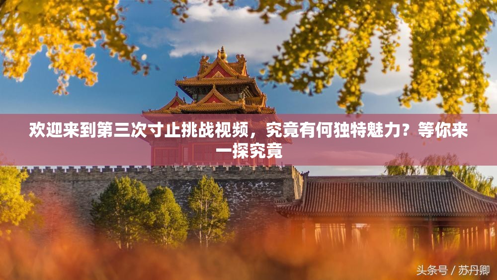 歡迎來到第三次寸止挑戰(zhàn)視頻，究竟有何獨特魅力？等你來一探究竟