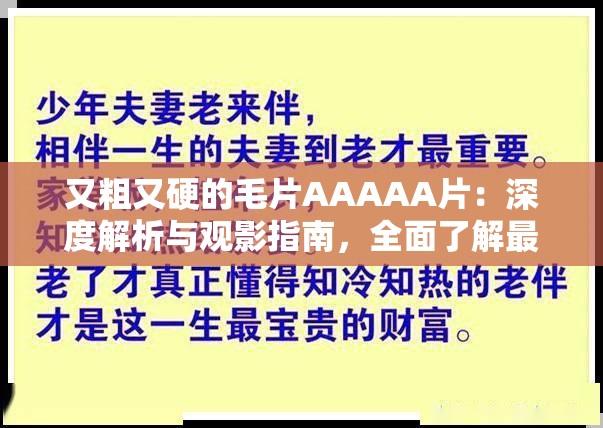 又粗又硬的毛片AAAAA片：深度解析與觀影指南，全面了解最新熱門影片推薦與詳細(xì)點評
