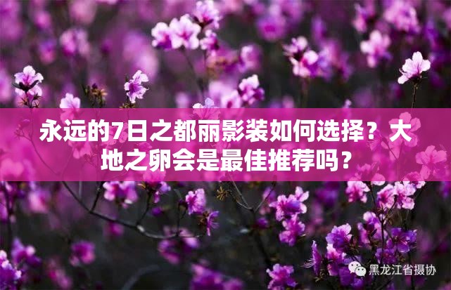 永遠(yuǎn)的7日之都麗影裝如何選擇？大地之卵會(huì)是最佳推薦嗎？