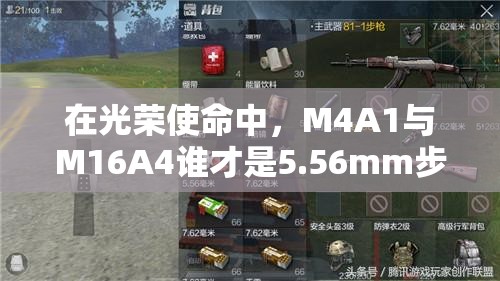 在光榮使命中，M4A1與M16A4誰(shuí)才是5.56mm步槍之王？