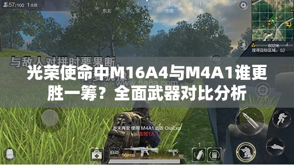 光榮使命中M16A4與M4A1誰更勝一籌？全面武器對(duì)比分析