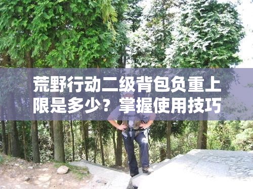 荒野行動(dòng)二級(jí)背包負(fù)重上限是多少？掌握使用技巧，或?qū)⒁I(lǐng)玩法新革命？