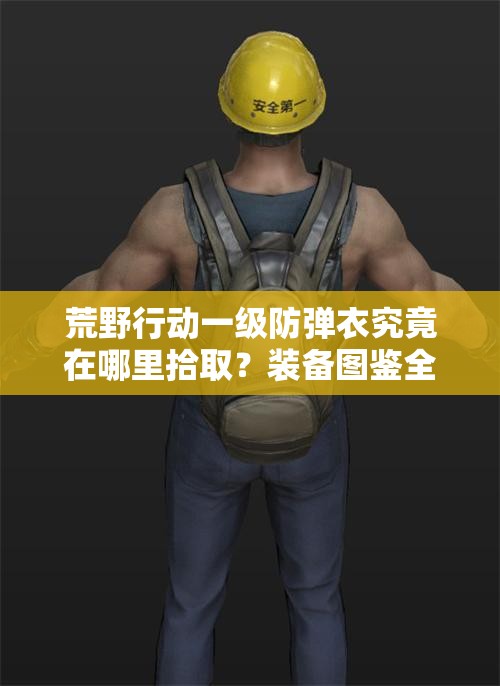 荒野行動(dòng)一級(jí)防彈衣究竟在哪里拾??？裝備圖鑒全面揭秘！
