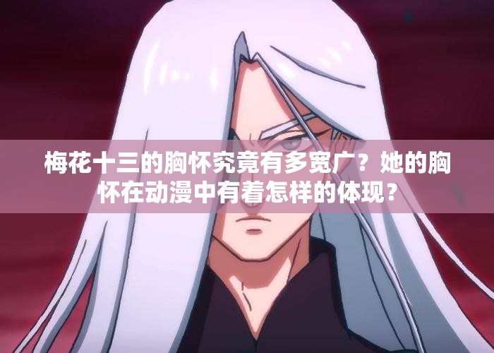 梅花十三的胸懷究竟有多寬廣？她的胸懷在動(dòng)漫中有著怎樣的體現(xiàn)？
