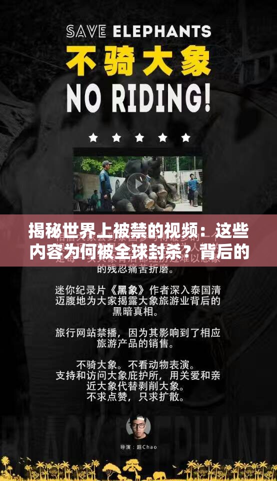 揭秘世界上被禁的視頻：這些內(nèi)容為何被全球封殺？背后的真相令人震驚