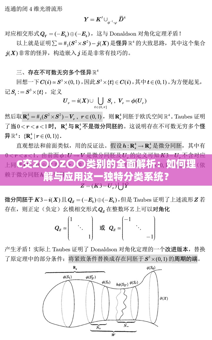 C交Z〇〇Z〇〇類別的全面解析：如何理解與應(yīng)用這一獨(dú)特分類系統(tǒng)？