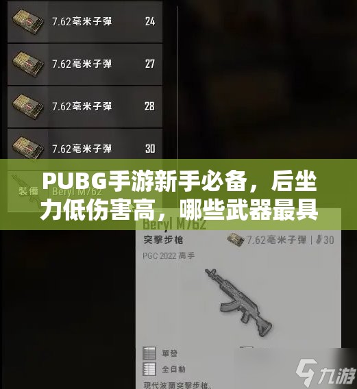 PUBG手游新手必備，后坐力低傷害高，哪些武器最具戰(zhàn)略價(jià)值與實(shí)踐？
