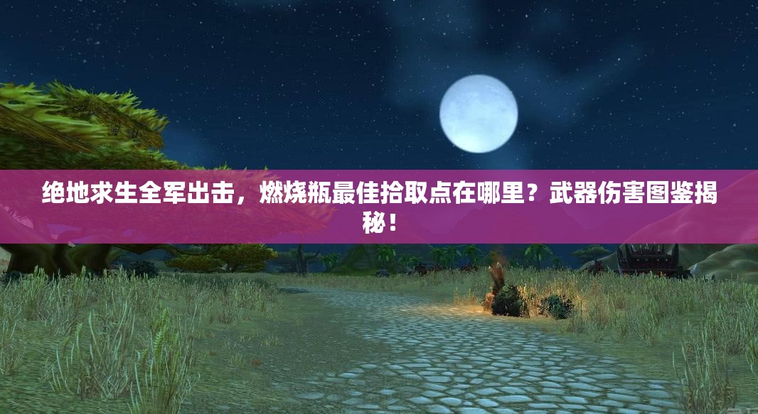 絕地求生全軍出擊，燃燒瓶最佳拾取點(diǎn)在哪里？武器傷害圖鑒揭秘！