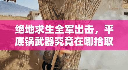 絕地求生全軍出擊，平底鍋武器究竟在哪拾?。繉傩詧D鑒全面揭秘！