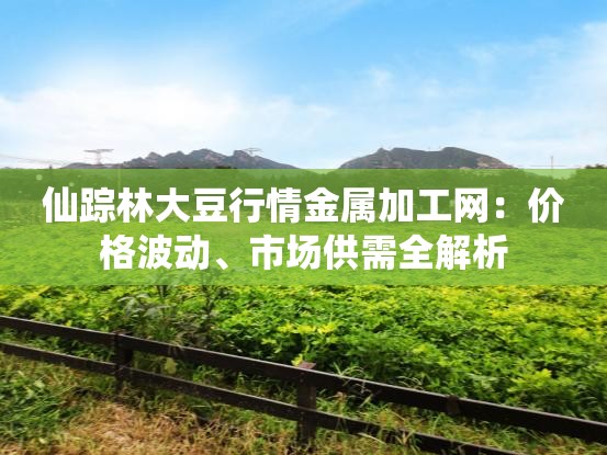 仙蹤林大豆行情金屬加工網(wǎng)：價(jià)格波動(dòng)、市場(chǎng)供需全解析