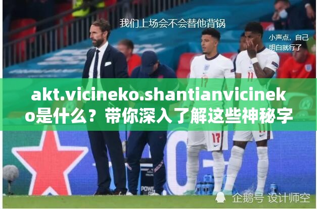 akt.vicineko.shantianvicineko是什么？帶你深入了解這些神秘字符的含義與背后故事