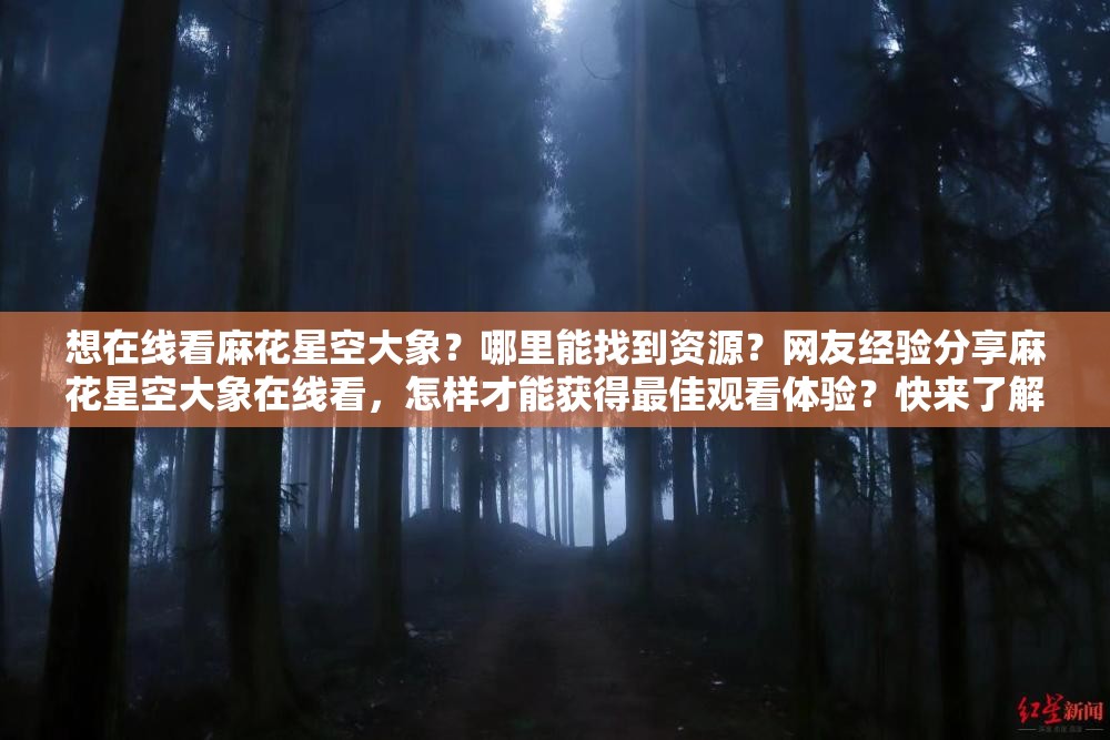 想在線看麻花星空大象？哪里能找到資源？網(wǎng)友經(jīng)驗(yàn)分享麻花星空大象在線看，怎樣才能獲得最佳觀看體驗(yàn)？快來了解麻花星空大象在線看，究竟有哪些精彩看點(diǎn)不容錯過？速看