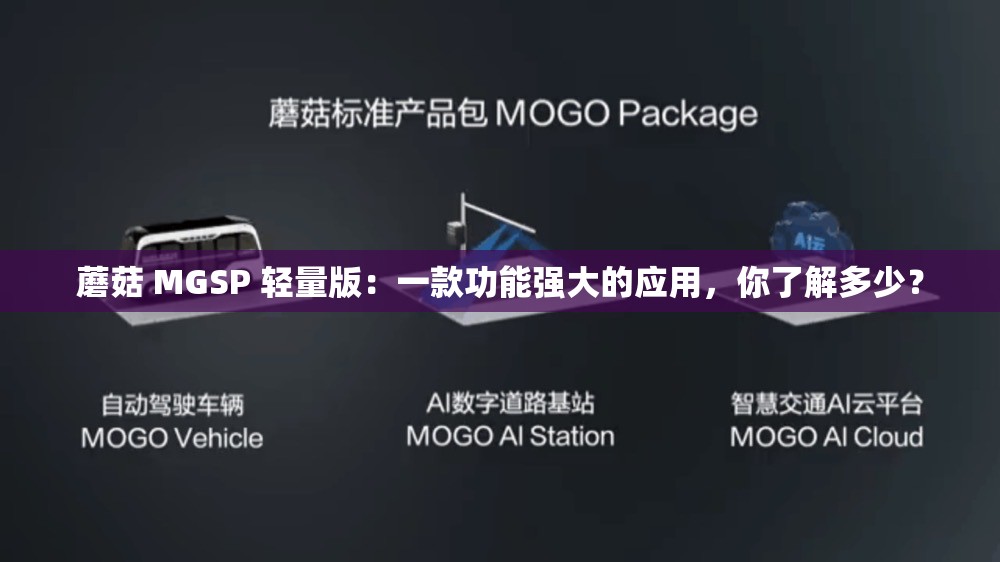 蘑菇 MGSP 輕量版：一款功能強大的應用，你了解多少？